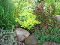 работы в саду и огороде в августе